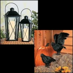 Discount ✔️ Black Lanterns & Crows Decorating Kit 😍
