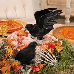 Cheap 🛒 Feathered Crows ⌛ Halloween Decorations ✨