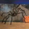 Deals ❤️ Hairy Spider with Light-Up Eyes Halloween Decoration 🥰