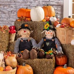 Buy π Stuff-a-Scarecrow Couple Decorating Kit - 2 Pc. π―