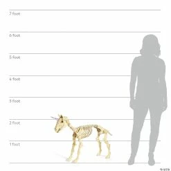 Best deal ✨ Unicorn Skeleton Halloween Decoration 🔔 -Halloween Home Decor Sales unicorn skeleton halloween decoration13846818 a02