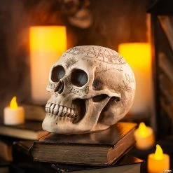 Brand new 🎉 Withchcraft Skull Halloween Decoration 👍