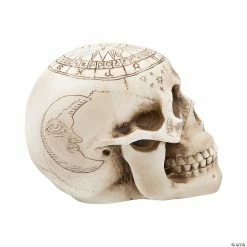Brand new 🎉 Withchcraft Skull Halloween Decoration 👍 -Halloween Home Decor Sales withchcraft skull halloween decoration14114156 a02